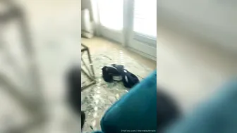 channelsweets manyvids onlyfans crazy harlot riding dildo