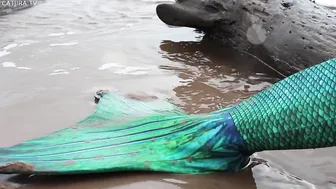 catjira   manyvids onlyfans Beautiful girl