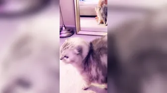 missymdi manyvids onlyfans Black hair bitch