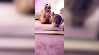 missymdi manyvids onlyfans Black hair bitch