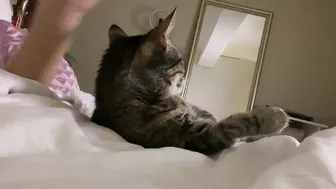 missymdi manyvids onlyfans two sluts fuck with lucky