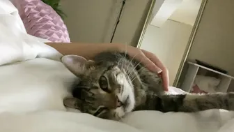 missymdi manyvids onlyfans two sluts fuck with lucky