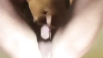 jessy dubai manyvids onlyfans busty bitch jerks pussy with phallus