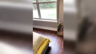 imamberhahn  manyvids onlyfans cute girls masturbate pussy