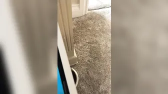 blondierose manyvids onlyfans gorgeous prostitute caresses shaved cunt