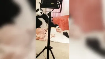 samiparkerxxx manyvids onlyfans Bitch