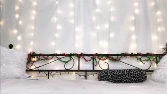 sheenarose manyvids onlyfans sweet babe masturbates on the bed