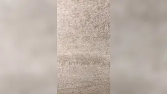 luvevelynclaire manyvids onlyfans crazy chick caresses natural tits