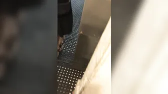 luvevelynclaire manyvids onlyfans crazy chick caresses natural tits