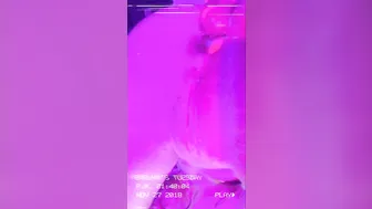 luvevelynclaire manyvids onlyfans cutie drove long pussy into cunt