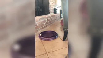 hotwiferio manyvids onlyfans red-headed scum dancing striptease