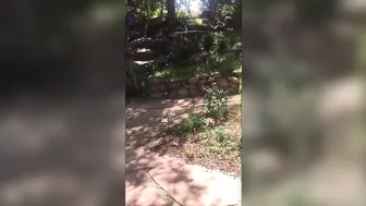 chanelpreston manyvids onlyfans Red bitch