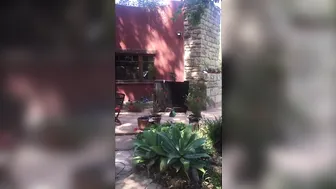 chanelpreston manyvids onlyfans Red bitch