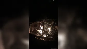 hotwiferio manyvids onlyfans a bitch with tattoos flaunts her body