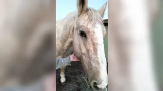 hotwiferio manyvids onlyfans Dark-haired passion