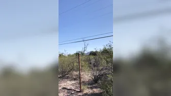 hotwiferio manyvids onlyfans mature babe fucking pussy relish