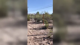 hotwiferio manyvids onlyfans mature babe fucking pussy relish