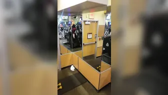 candicedare manyvids onlyfans charming strips booties