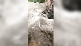 mara inkperial manyvids onlyfans Russian whore