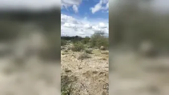 manyvids onlyfans beautiful woman in black clearly jerks off her vagina