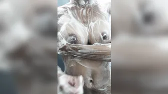 maya  manyvids onlyfans cute chick jerking her pussy with a phallus