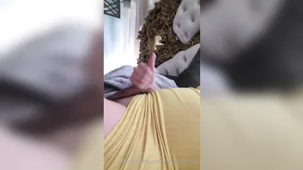 kristilacroix manyvids onlyfans Spectacular Woman