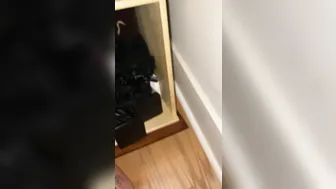 indicaflower manyvids onlyfans dude licks shaved cunt girlfriend