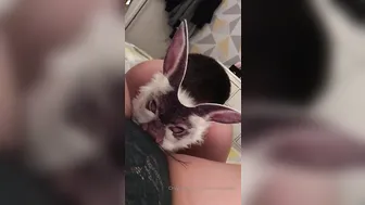 filthy couple manyvids onlyfans smiling girl