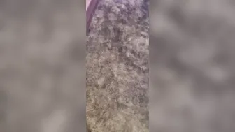 averyjane manyvids onlyfans attractive slut caresses shaved cunt