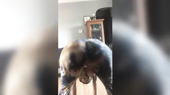 creamyexotica  manyvids onlyfans cute slut caresses the vagina with fingers