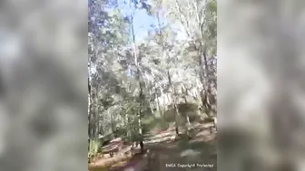 sexymatureaussielady manyvids onlyfans sweetheart stealing pulls vagina