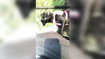 aidrafoxx manyvids onlyfans sexy lady fucks both holes