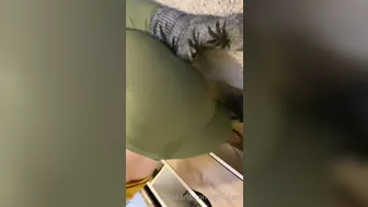 gthatass manyvids onlyfans crazy girl plows pussy with phallus