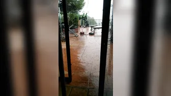 alexatomasx manyvids onlyfans chubby mare in honor of the holiday shows its bust