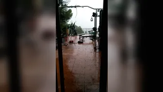 alexatomasx manyvids onlyfans chubby mare in honor of the holiday shows its bust