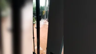 alexatomasx manyvids onlyfans chubby mare in honor of the holiday shows its bust