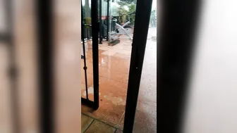 alexatomasx manyvids onlyfans chubby mare in honor of the holiday shows its bust