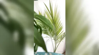 angelwicky manyvids onlyfans black-haired slut takes a shower