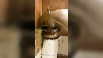 angelwicky manyvids onlyfans 17 March 2020