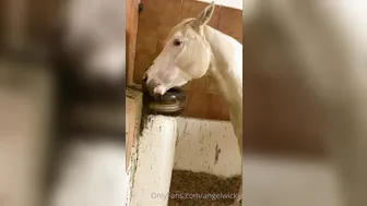 angelwicky manyvids onlyfans 17 March 2020