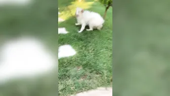 angelwicky manyvids onlyfans Adorable chick