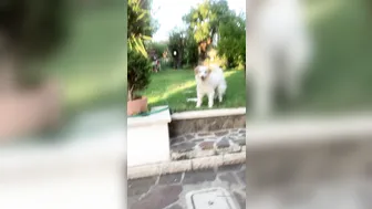 angelwicky manyvids onlyfans Adorable chick