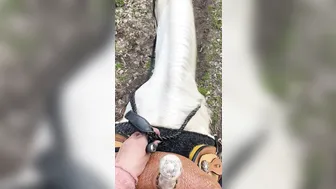 angelwicky manyvids onlyfans Busty filly