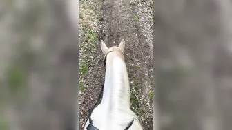 angelwicky manyvids onlyfans Busty filly