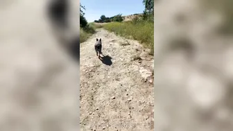 misslacylennon manyvids onlyfans gorgeous bitches lick wet pussies