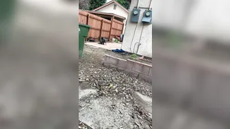 misslacylennon manyvids onlyfans juicy pussy