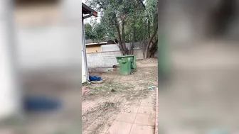 misslacylennon manyvids onlyfans Skinny slut