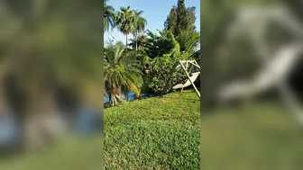 kendra manyvids onlyfans magnificent queen jumping on sex toy