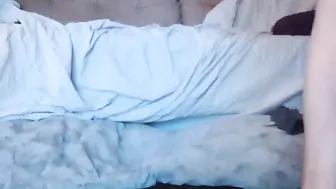 aussietreasure passionate kitty