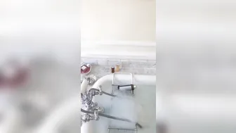 romi_rain onlyfans dominates cap